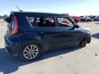 KIA SOUL + photo