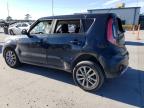 KIA SOUL + photo