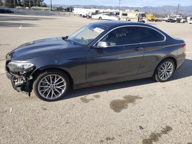 2015 BMW 2 Series 228i