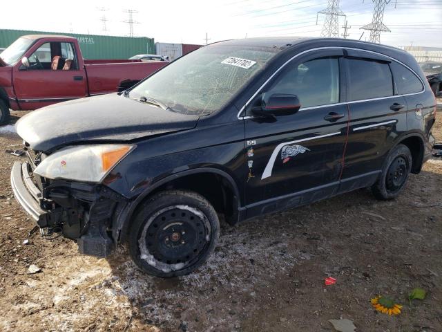 2007 Honda Cr-V Ex VIN: JHLRE48507C116567 Lot: 40640583