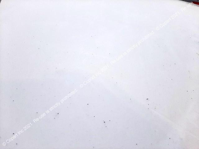 ZFA19900000770263 Fiat Punto Evo