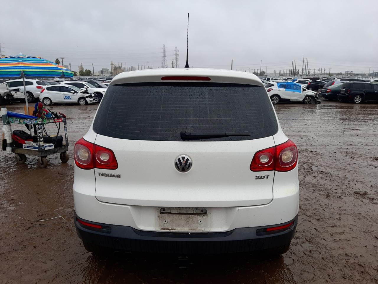 2011 Volkswagen Tiguan S VIN: WVGAV7AXXBW516680 Lot: 36462653