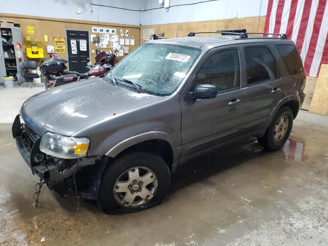Salvage cars for sale from Copart Kincheloe, MI: 2006 Ford Escape LIM
