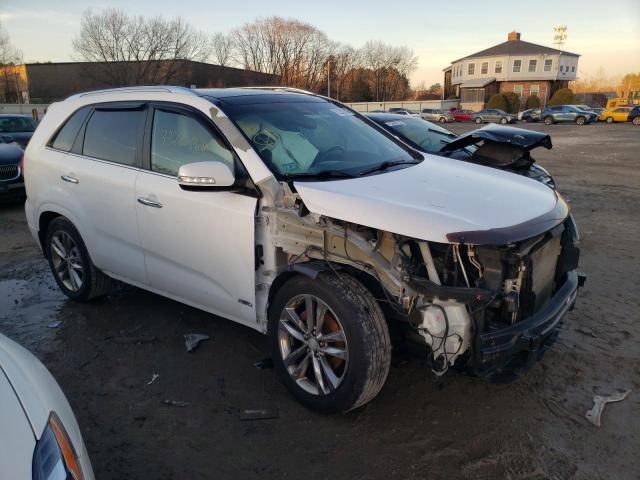 5XYKWDA76EG487684 KIA Sorento