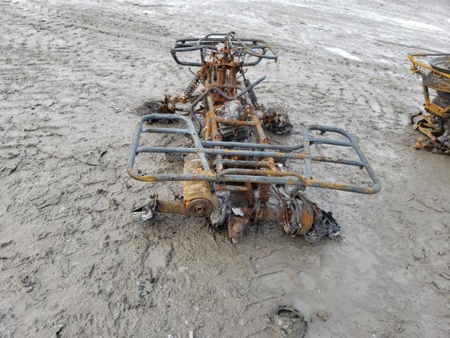 2005 HONDA TRX500 FE 1HFTE310254003695