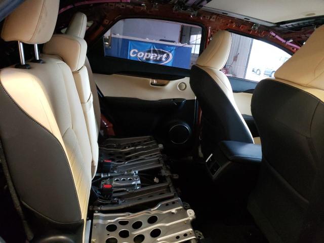 2020 LEXUS NX 300 - JTJDARDZ3L2219181