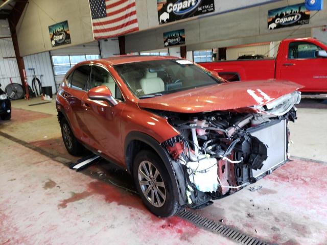 2020 LEXUS NX 300 - JTJDARDZ3L2219181
