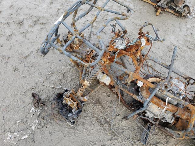 2005 HONDA TRX500 FE 1HFTE310254003695