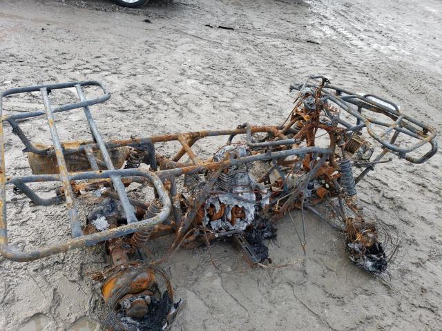 2005 HONDA TRX500 FE 1HFTE310254003695