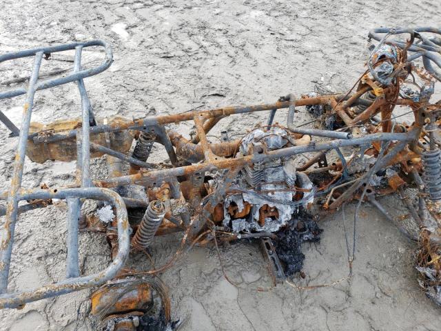 2005 HONDA TRX500 FE 1HFTE310254003695