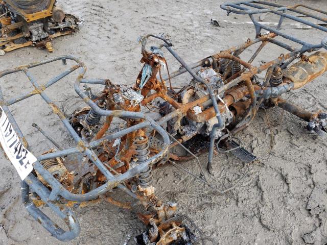 2005 HONDA TRX500 FE 1HFTE310254003695