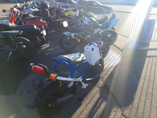 2022 HONDA OTHER JH2AF5816NK903835