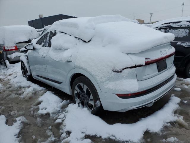 WA13AAGE5NB025838 Audi e-tron 2022. Фото: 1