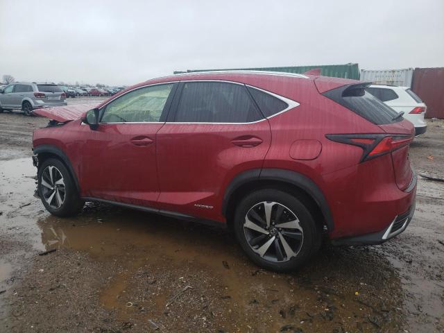 2020 LEXUS NX 300H - JTJGJRDZ7L5010201