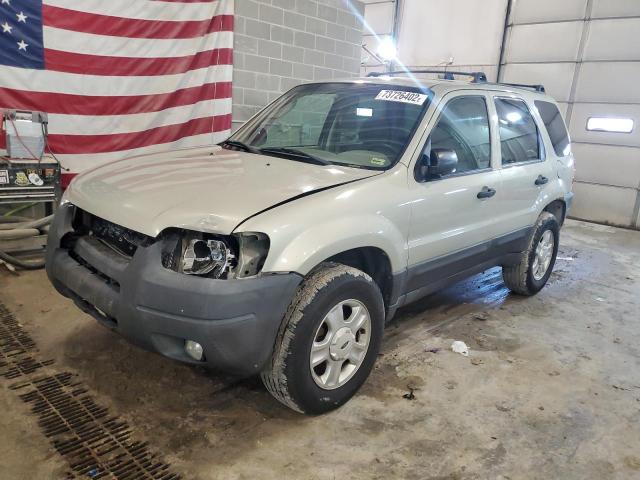 Salvage cars for sale from Copart Columbia, MO: 2004 Ford Escape XLT