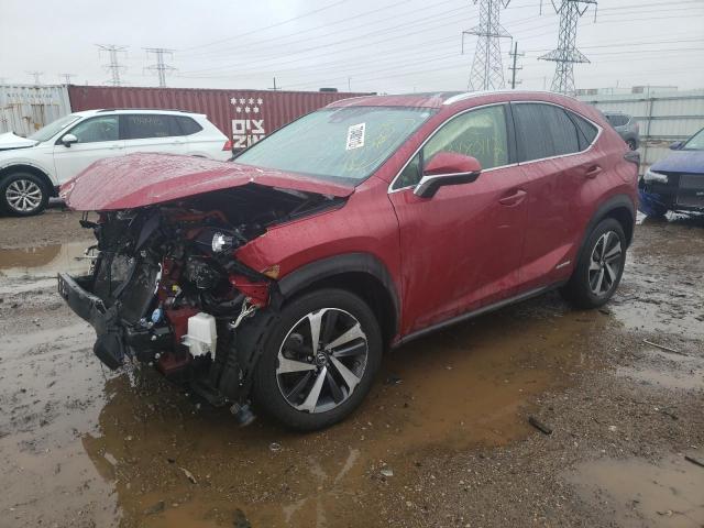 2020 LEXUS NX 300H - JTJGJRDZ7L5010201