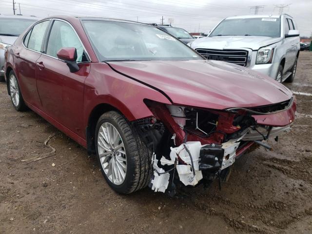2019 TOYOTA CAMRY L - 4T1B11HKXKU825570