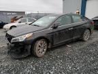 2016 HYUNDAI SONATA SE - 5NPE24AF0GH351854