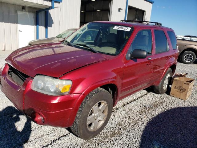 Salvage cars for sale from Copart Earlington, KY: 2006 Ford Escape Limited