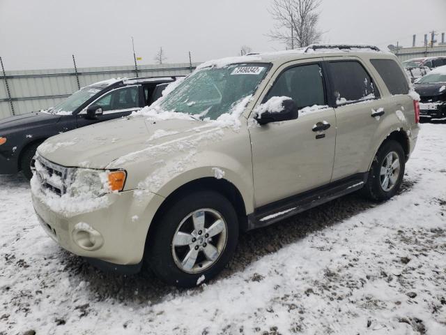 Salvage cars for sale from Copart Appleton, WI: 2010 Ford Escape XLT