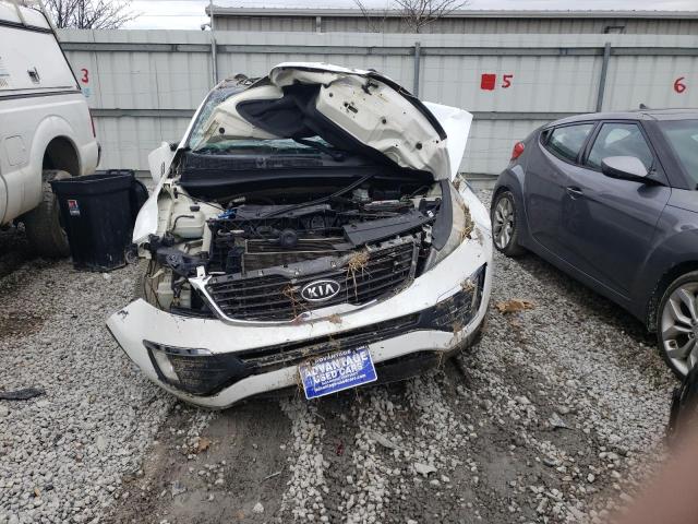 KNDPCCA29B7139383 KIA Sportage Ex