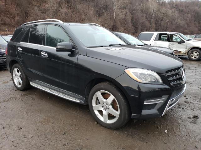 Car photos