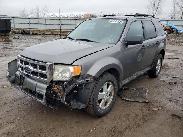 2009 Ford Escape XLT for sale in Columbia Station, OH
