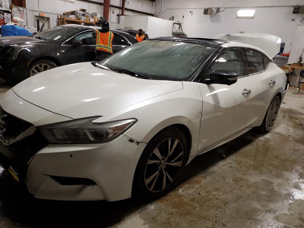 Lot #2025711871 2016 NISSAN MAXIMA 3.5