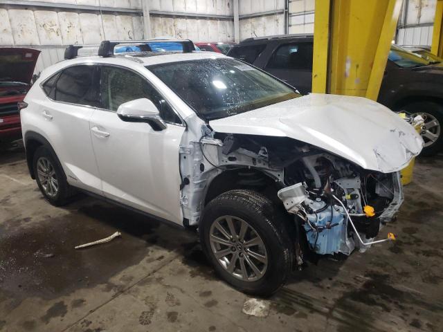 2021 LEXUS NX 300H BA - JTJDJRDZ0M5015499