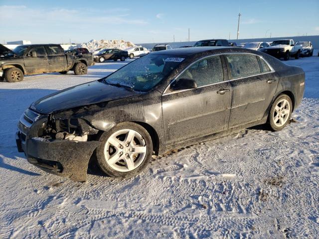 2010 Chevrolet Malibu LS