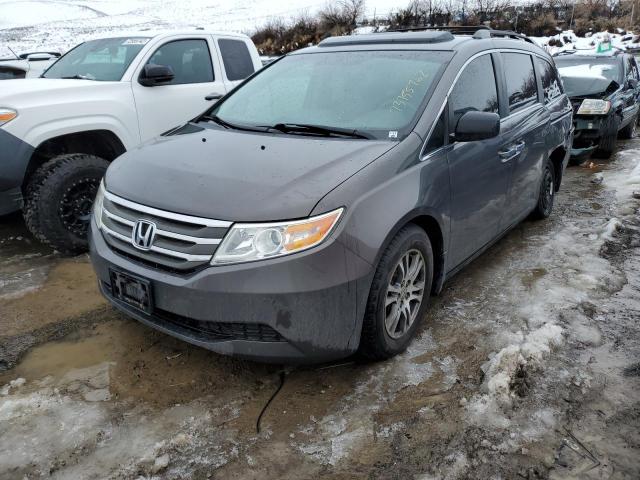 Salvage cars for sale at Reno, NV auction: 2011 Honda Odyssey EXL