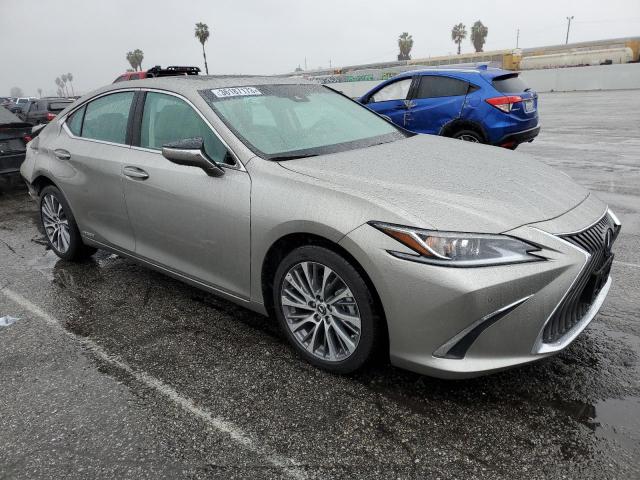 2021 LEXUS ES 300H - 58ADA1C15MU008753
