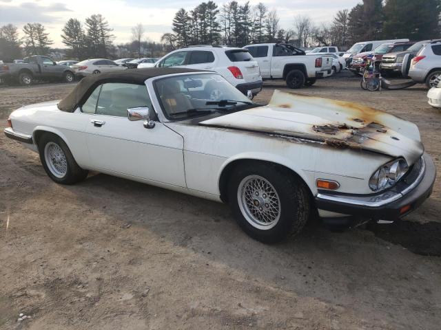 SAJNW4841LC172027 Jaguar XJS