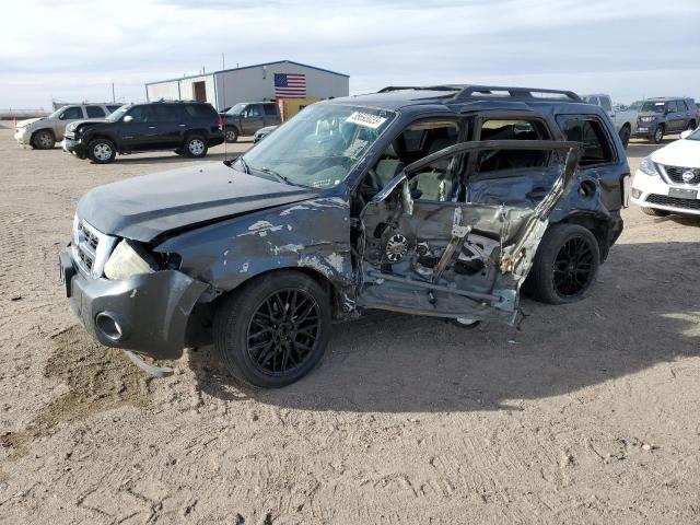 2008 Ford Escape XLT