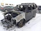 2016 FORD EXPEDITION - 1FMJU1JT7GEF23354
