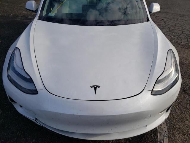 2019 TESLA MODEL 3 - 5YJ3E1EB3KF407040