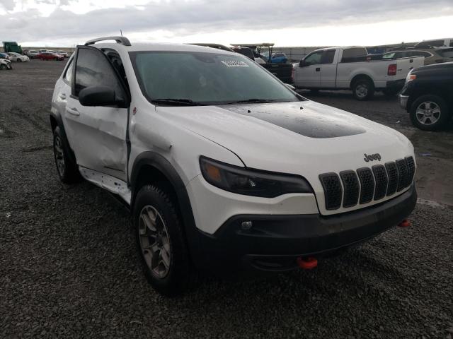 1C4PJMBX7LD582253 Jeep Cherokee Trailhawk