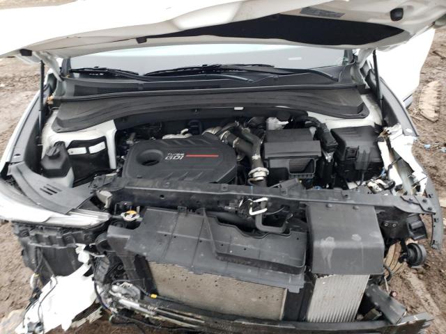 2019 HYUNDAI SANTA FE L - 5NMS5CAA5KH107101