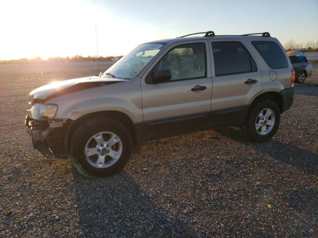 2007 Ford Escape XLT