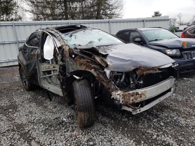 2022 LEXUS NX 350 - 2T2AGCEZ4NC012248