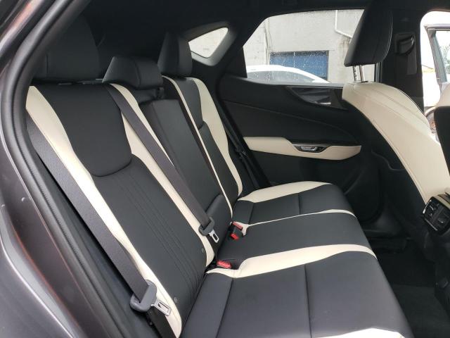 2022 LEXUS NX 350 2T2AGCEZ3NC015030