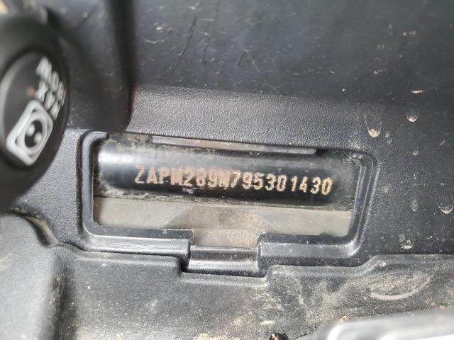 2009 PIAGGIO BV 250 ZAPM289M795301430