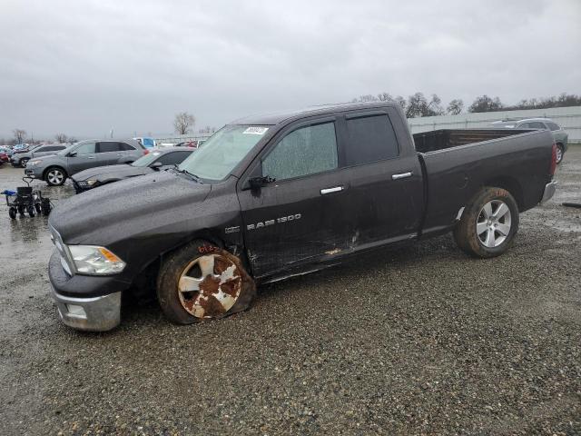 Dodge RAM 1500 salvage cars for sale: 2011 Dodge RAM 1500