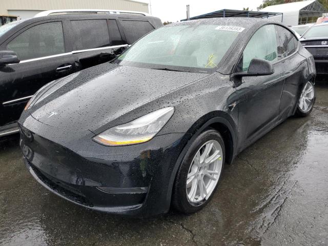 Tesla salvage cars for sale: 2021 Tesla Model Y