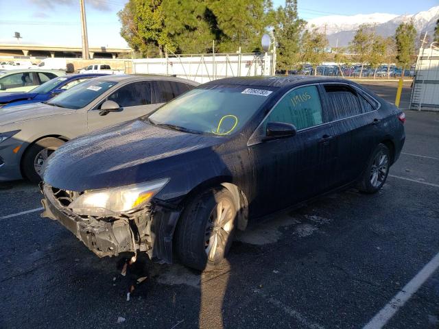 2016 TOYOTA CAMRY LE - 4T1BF1FK1GU195241