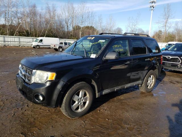 2011 Ford Escape XLT en venta en Billerica, MA