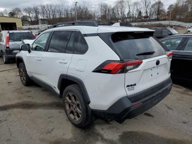 2023 TOYOTA RAV4 WOODL - 2T3UWRFV2PW150981