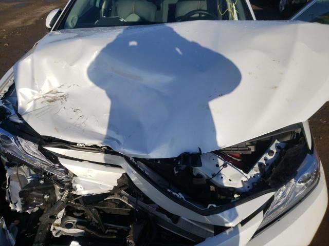 2019 TOYOTA CAMRY L - 4T1B11HK3KU828262