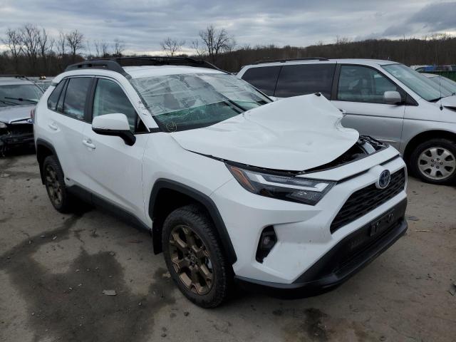 2023 TOYOTA RAV4 WOODL - 2T3UWRFV2PW150981