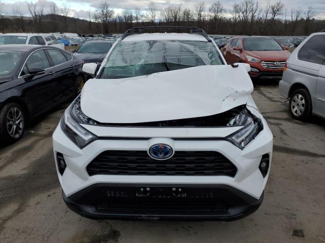 2023 TOYOTA RAV4 WOODL - 2T3UWRFV2PW150981